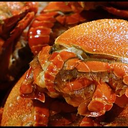 Atchafalaya Seafood - Atchafalaya Seafood Co.