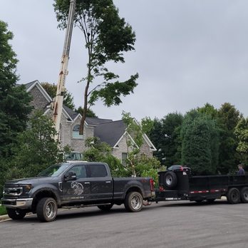 Jeff's Urban Forestry - Tree Services Near Me