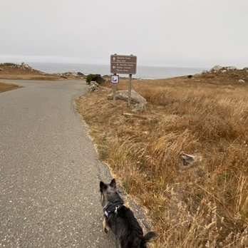 Gerstle Cove - Campgrounds Near Me - Jenner, California