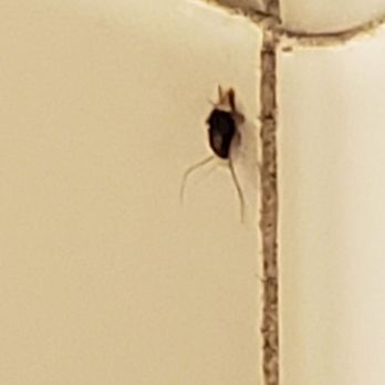 LA Fitness - Roach - Trainers Near Me - Northbrook, Illinois
