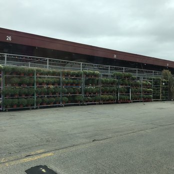 Brooklyn Plantology By Lapide - Nurseries & Gardening Near Me - Brooklyn, New York