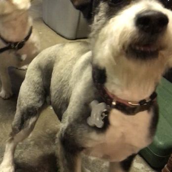PetSmart - Pet Stores Near Me - Daly City, California