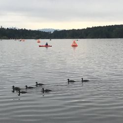 Elk/ Beaver Lake Regional Park