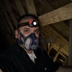 Avi Levy Home Inspection - It's hot inside an attic!