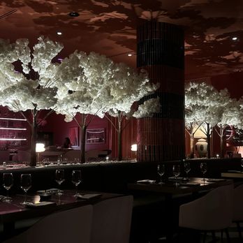 Camello - Atmosphere - Mexican Near Me - Phoenix, Arizona