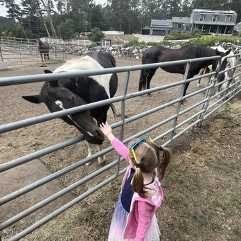 Double J Ranch - Horseback Riding Near Me - Montara, California Double J Ranch - Horseback Riding Near Me - Montara, California