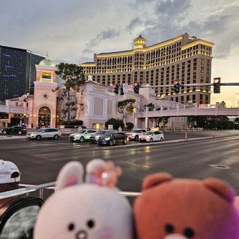 CartZilla - Bus Tours Near Me - Las Vegas, Nevada CartZilla - Bus Tours Near Me - Las Vegas, Nevada