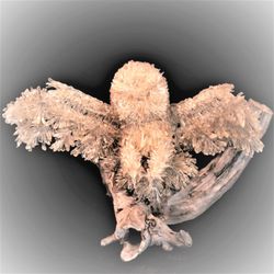 Joan Peters Gallery - Made from Fossil Clams found only in Florida and about 400 man hours.