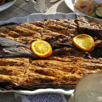 Ola Mulata - The whole mahi mahi grilled for us to share at Ola Mulata at vidanta in Nuevo Vallarta - Mexican Near Me - Las Jarretaderas, NAY