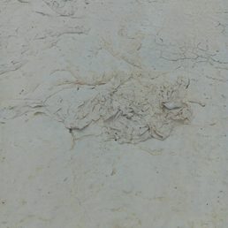 The roof coating is bubbling up and peeling off.