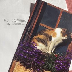 All About Pets Animal Hospital - "Sorry for your loss" card
