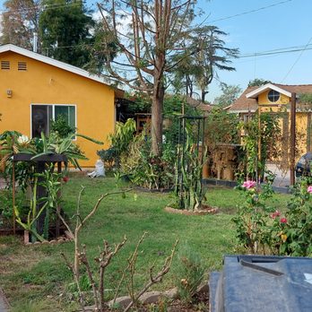 Favor Tree Care - Tree Services Near Me - Santa Ana, California Favor Tree Care - Tree Services Near Me - Santa Ana, California