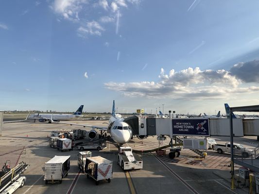 JetBlue Airways by null