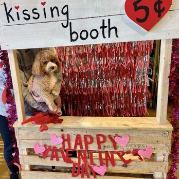 All Pets Considered - Kissing Booth with Vada! - Pet Stores Near Me - Greensboro, North Carolina