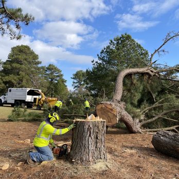Sams Tree Service - Tree Services Near Me - College Station, Texas Sams Tree Service - Tree Services Near Me - College Station, Texas