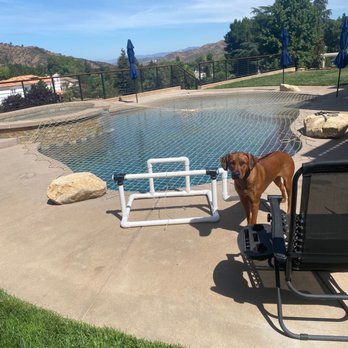 Katchakid - Pool net and roller/remover device - Hot Tub & Pool Near Me