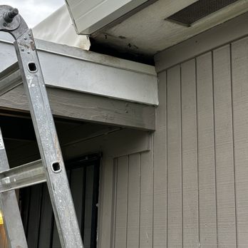 1. Accomplish Pest Control