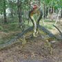 Photo of Park Dinozaurów / Dinosaurier-Park Nowiny Wielkie