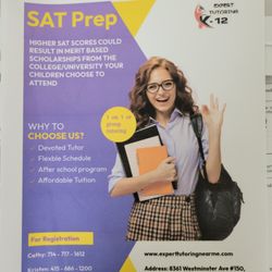 Expert Tutoring
