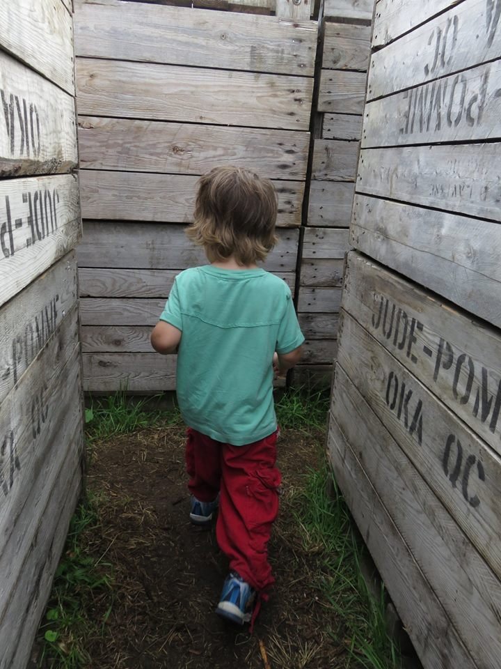 JUDE POMME Updated October 2024 223 Rang SainteSophie, Oka, Quebec