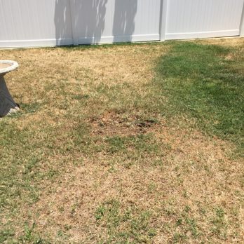 Andrew Tree Service - Landscaping Near Me - Riverside, California Andrew Tree Service - Landscaping Near Me - Riverside, California