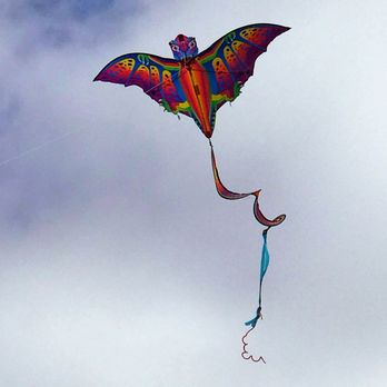 San Clemente State Beach - Great wind for flying kites! - Beaches Near Me - San Clemente, California