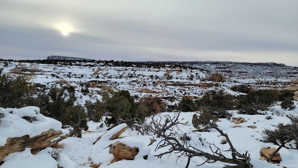 Natural Bridges National Monument by null