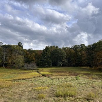 Ashintully Gardens - Fields and view - Botanical Gardens Near Me - Tyringham, Massachusetts