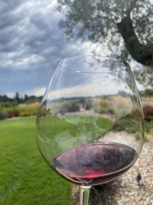 Comstock Wines by null