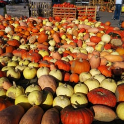 Bauerngarten Benninghoven