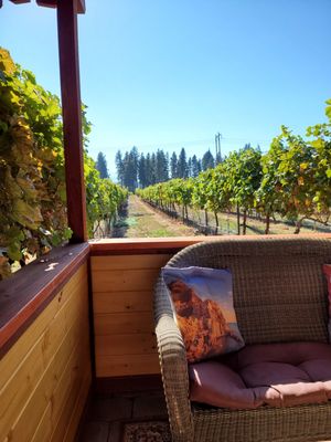 Marchesi Vineyards & Winery by null