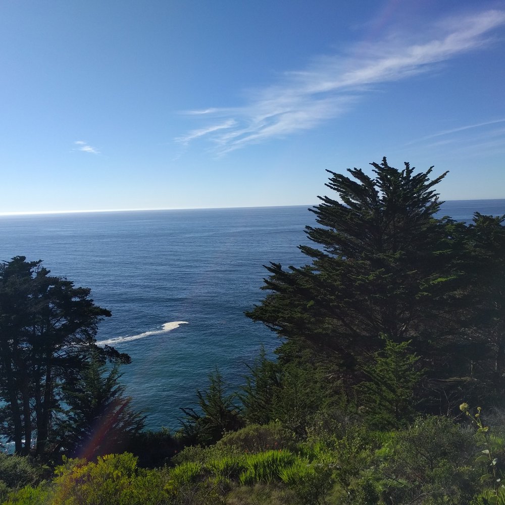 Julia Pfeiffer Burns State Park - Parks Near Me - Big Sur, California