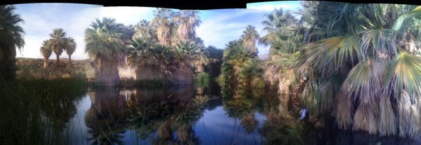 Miracle Manor Boutique Hotel & Spa by null