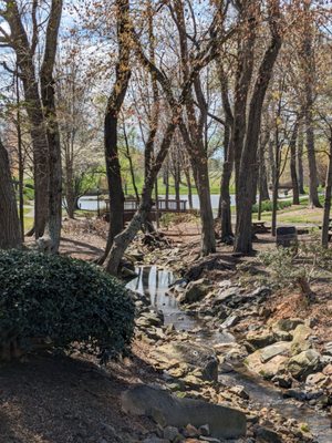 Shelton Vineyards by null