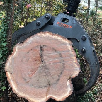 One Two Tree - Tree Services Near Me