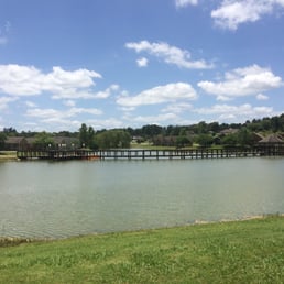 View from our site