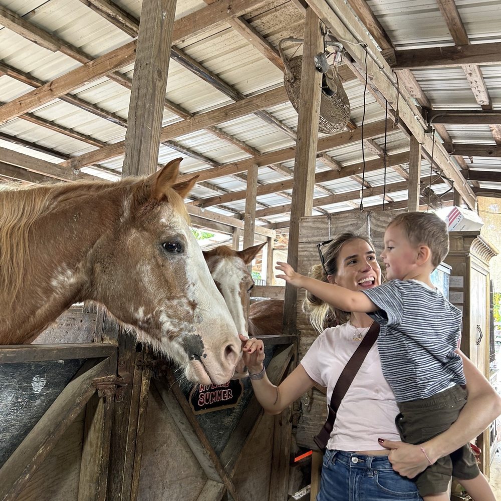 ​Happi Farm - Stables - Community Service/Non-Profit Near Me - Davie, Florida