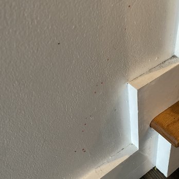 Bonsai Green Cleaning - Walls were included but were not done. - Home Cleaning Near Me - Bowie, Maryland