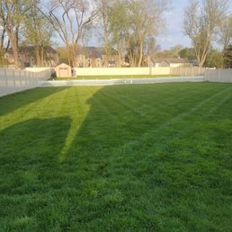 Here's the questionable yard.