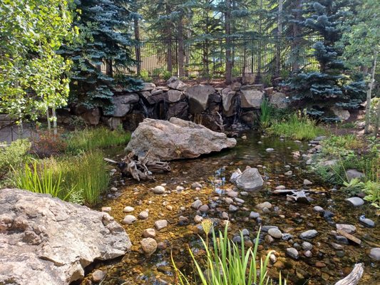 Betty Ford Alpine Gardens by null