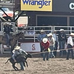 Calgary Stampede Grandstand Show