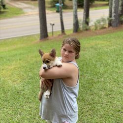 Furbaby Transport