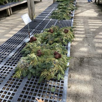 Collier's Nursery - Nurseries & Gardening Near Me - Birmingham, Alabama