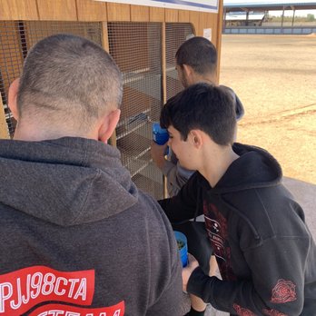 Rooster Cogburn Ostrich Ranch - More feeding - Petting Zoos Near Me - Picacho, Arizona Rooster Cogburn Ostrich Ranch - More feeding - Petting Zoos Near Me - Picacho, Arizona