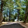 Photo of Tom Eddy Winery