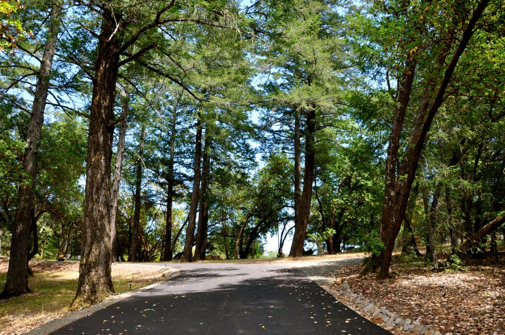 Tom Eddy Winery Logo