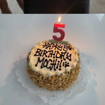 Three Dog Bakery - Rice Village - Peanut butter cake - Pet Stores Near Me - Houston, Texas Three Dog Bakery - Rice Village - Peanut butter cake - Pet Stores Near Me - Houston, Texas