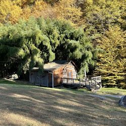 Cooper Creek Trout Farm