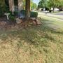 Photo of EMX Sprinklers