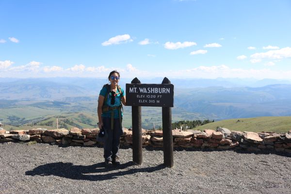 Mt Washburn by null